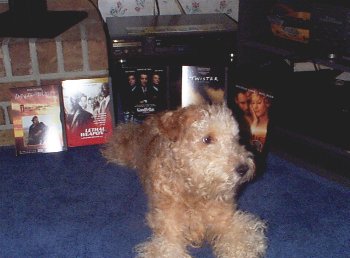 Maddie with her DVD Player !
