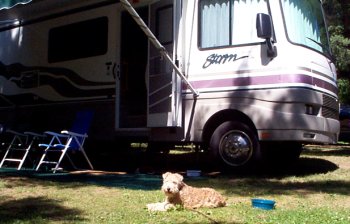 Maddie resting in the campground